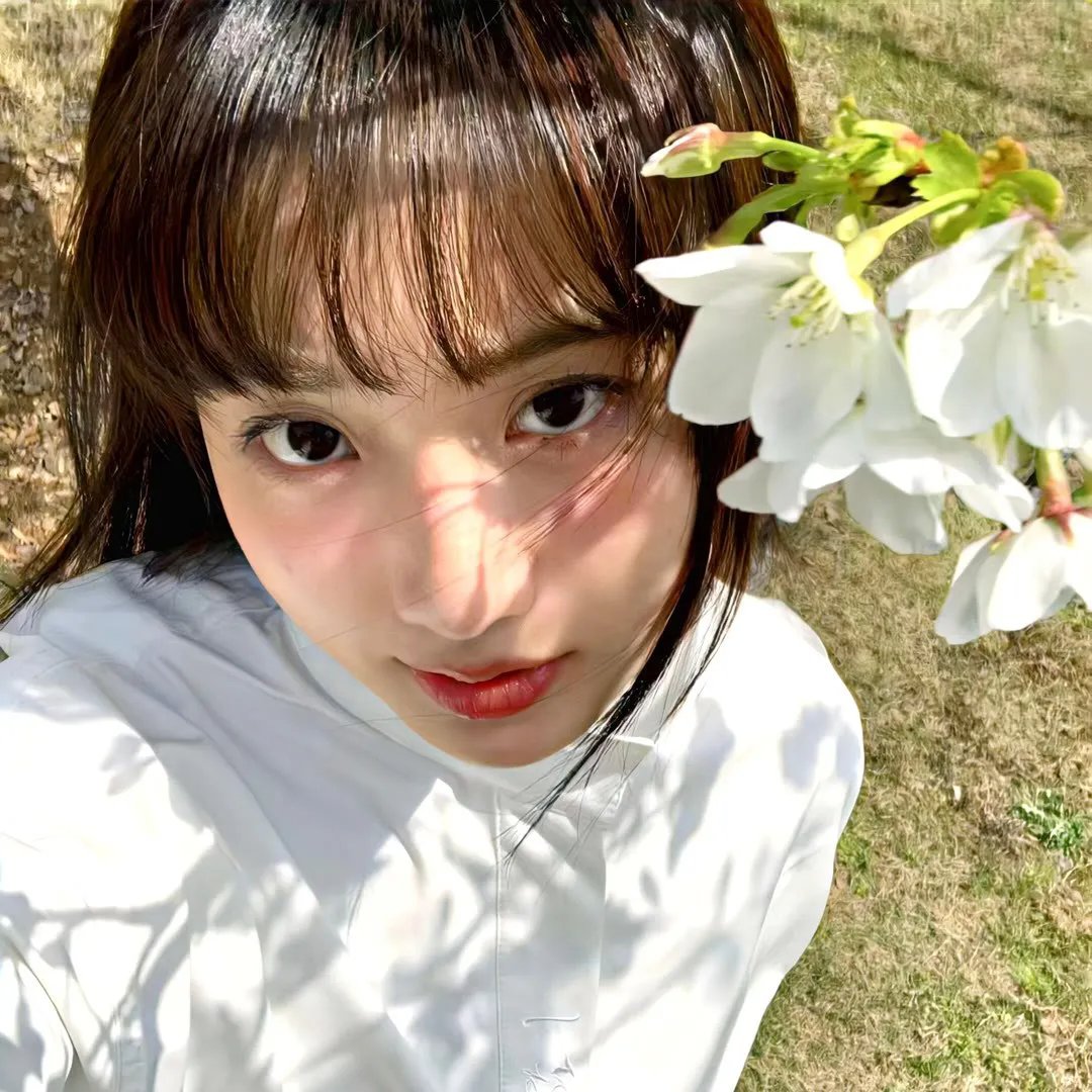 杂交种